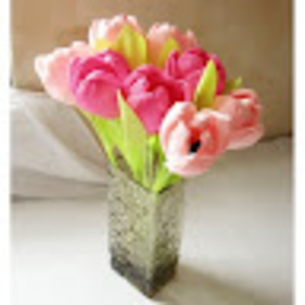 Meet your Posher, Priscilla